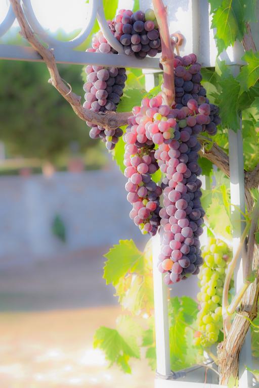 Agriturismo Il Megalite Giurdignano Kültér fotó